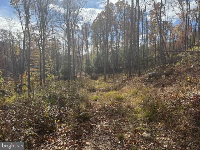 Tbd Adolph Road Property Photo 19