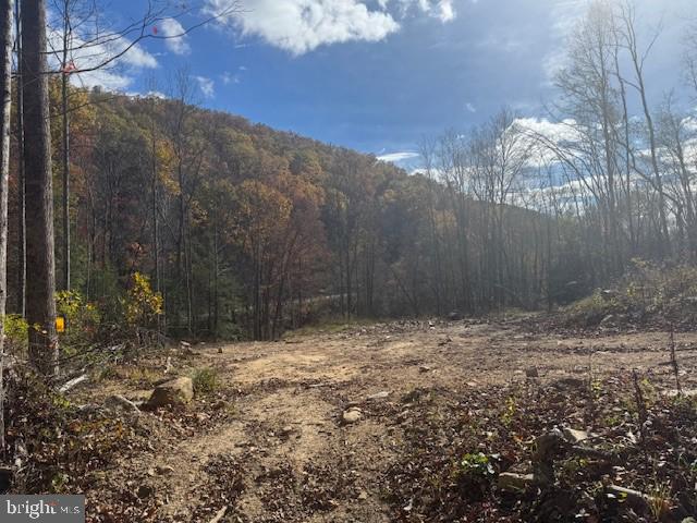 Tbd Adolph Road Property Photo 27