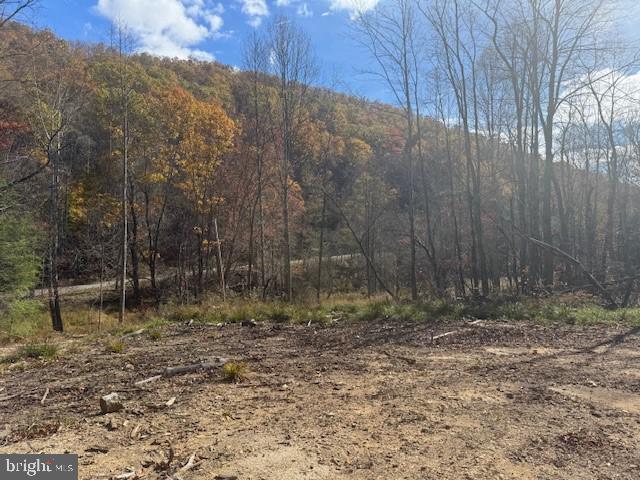 Tbd Adolph Road Property Photo 28