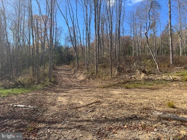 Tbd Adolph Road Property Photo 29