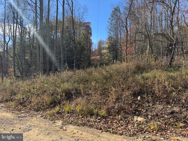 Tbd Adolph Road Property Photo 30