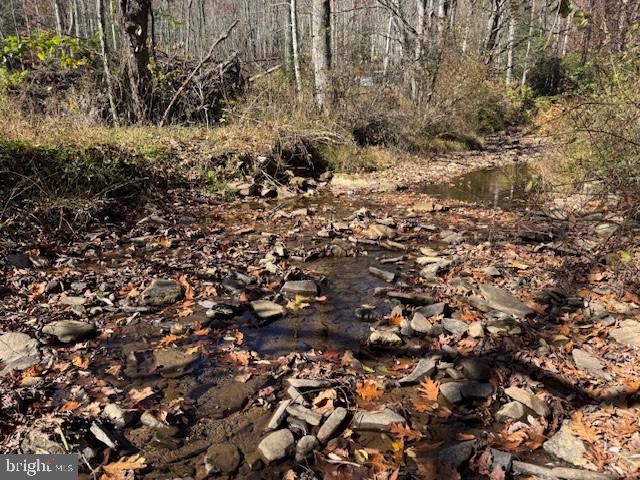 Tbd Adolph Road Property Photo 32