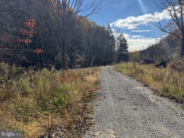 Tbd Adolph Road Property Photo 35