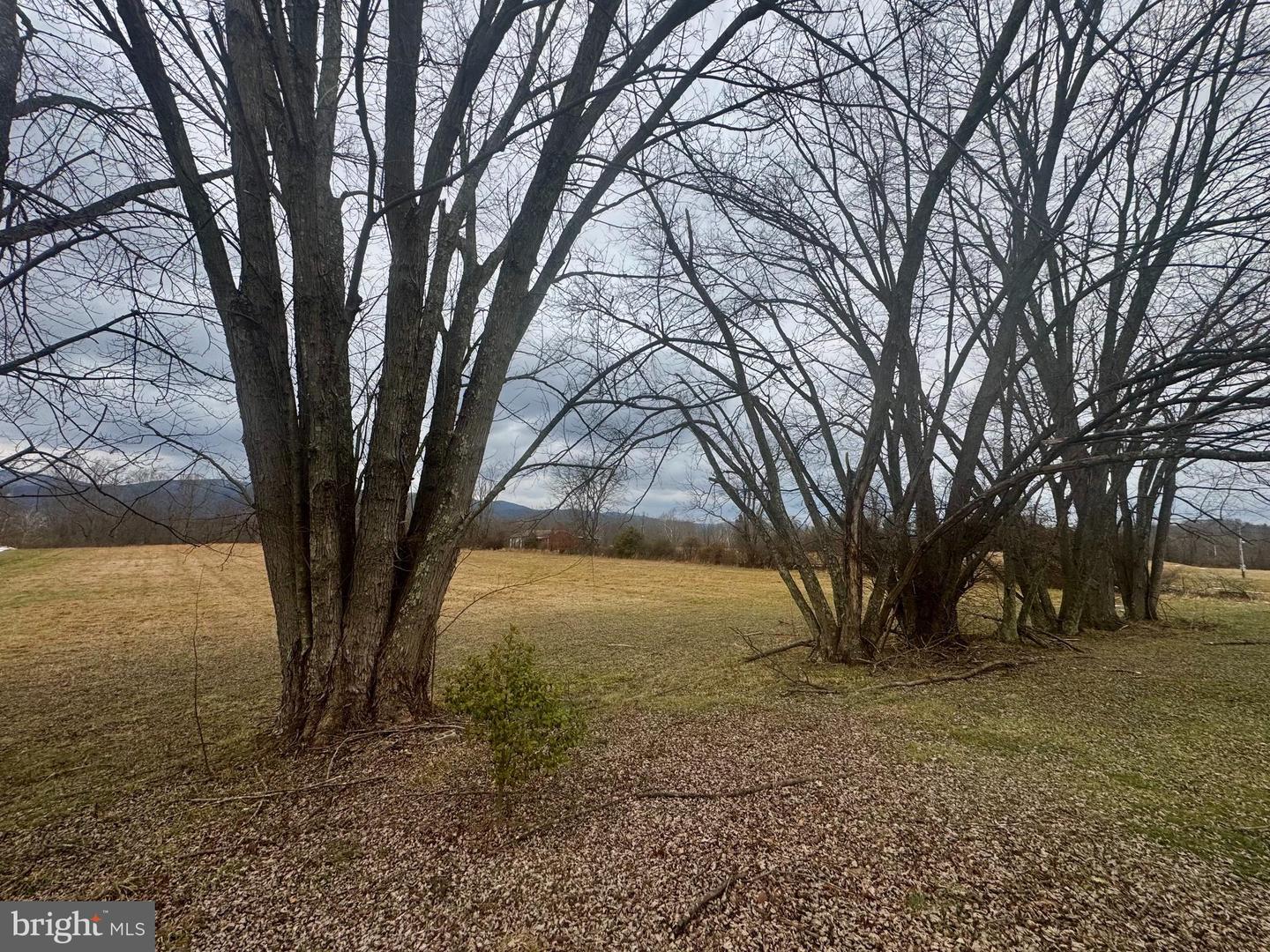 5178 Beverly Pike Property Photo 6