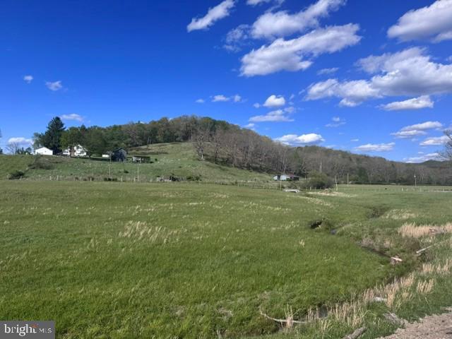 Tbd Shaffer's Run Rd Property Photo 4