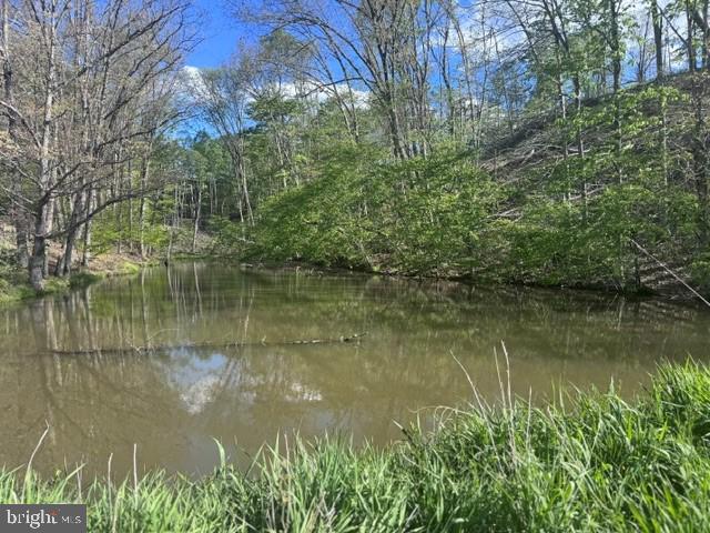 Tbd Shaffer's Run Rd Property Photo 11
