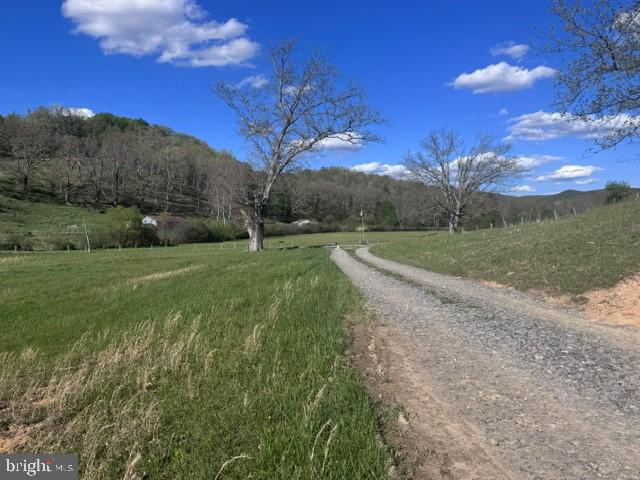 Tbd Shaffer's Run Rd Property Photo 18