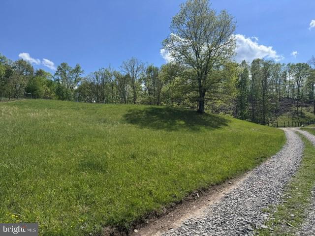 Tbd Shaffer's Run Rd Property Photo 23