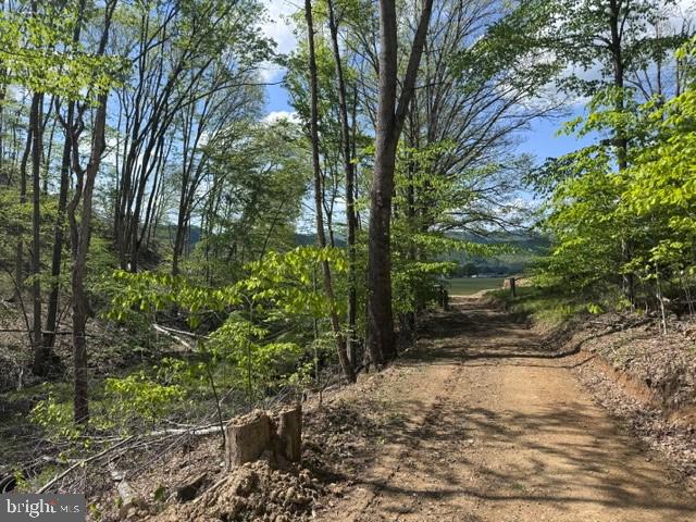 Tbd Shaffer's Run Rd Property Photo 30