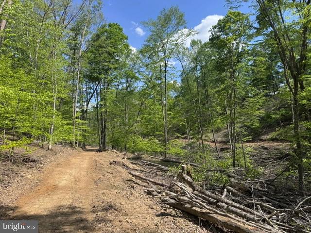 Tbd Shaffer's Run Rd Property Photo 43