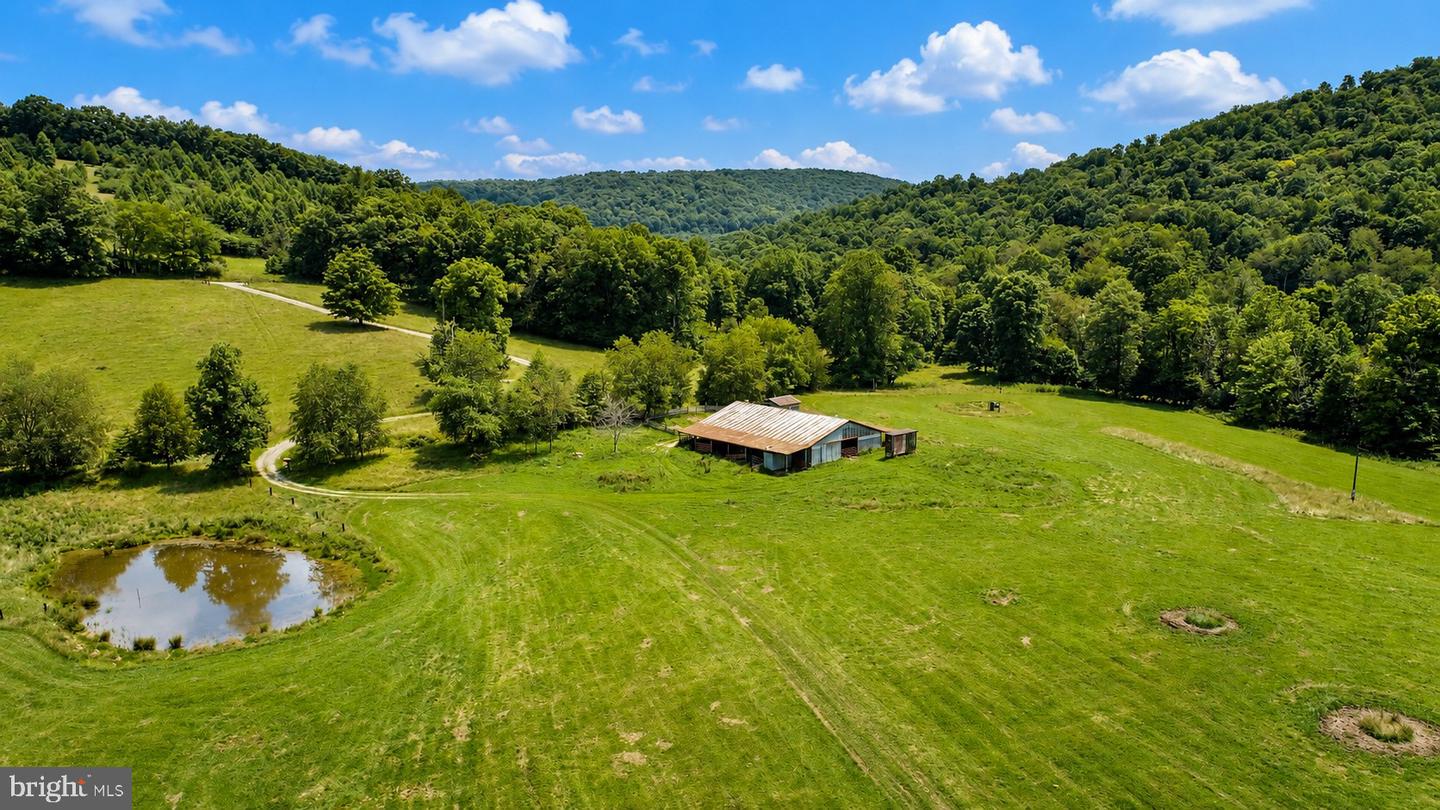 1258 Long Run Property Photo 10