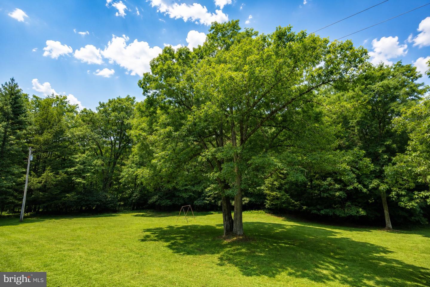 1258 Long Run Property Photo 100
