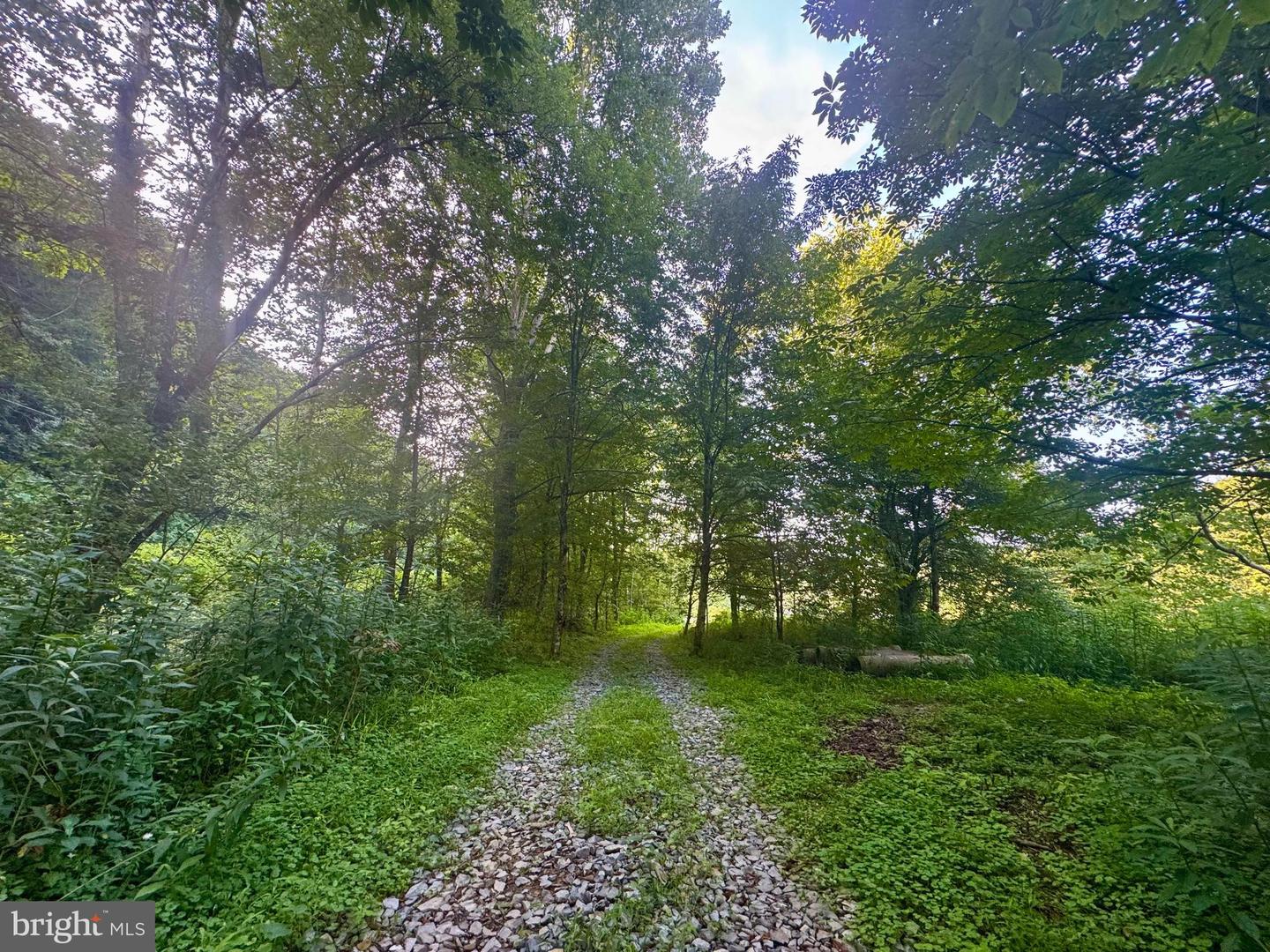 Route 72 Property Photo 11