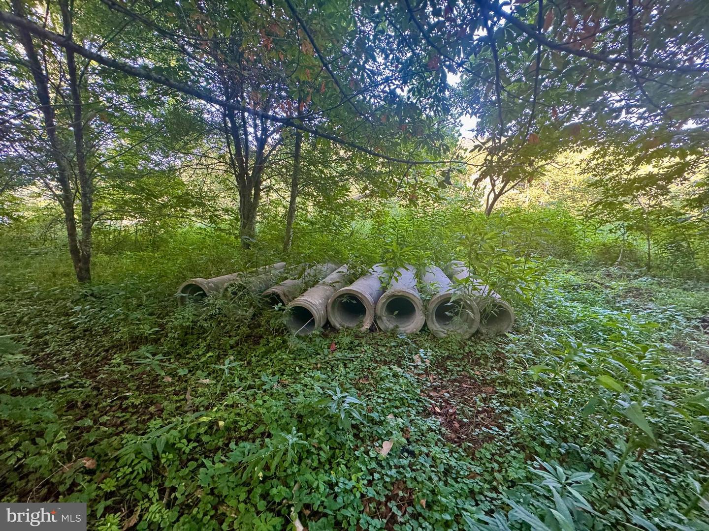Route 72 Property Photo 32