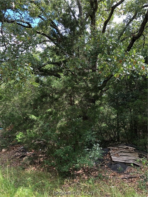 9999 Koppe Bridge Road