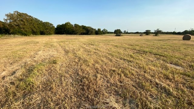 1290 Gun Range Road