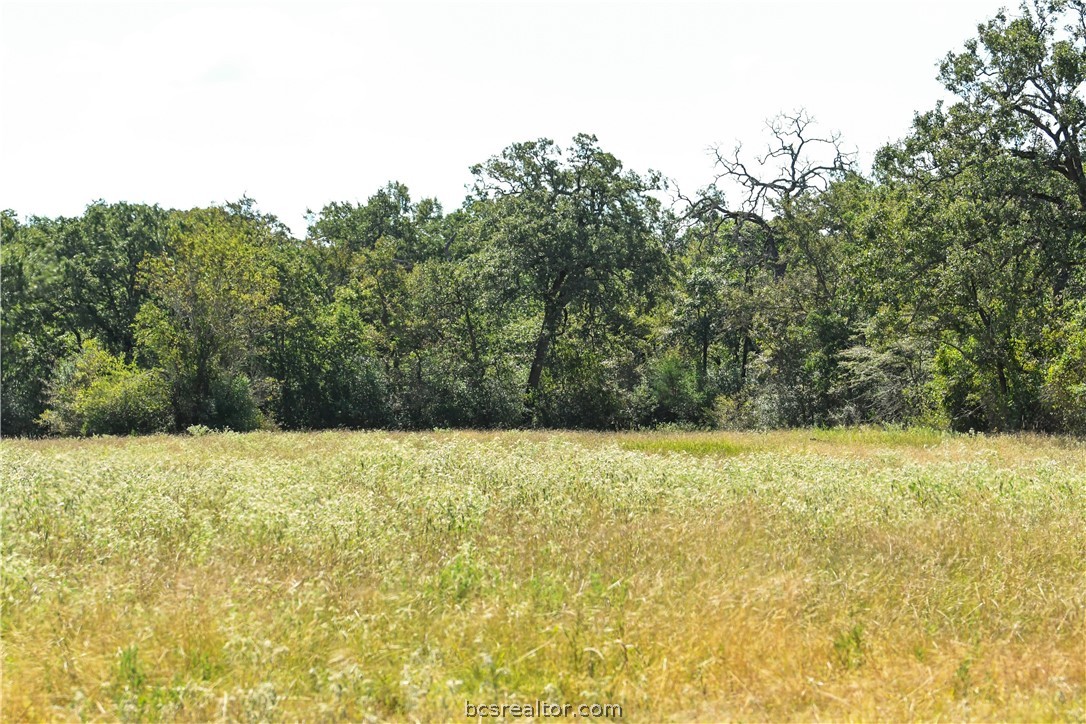 13766 Bundic Road Property Photo 3