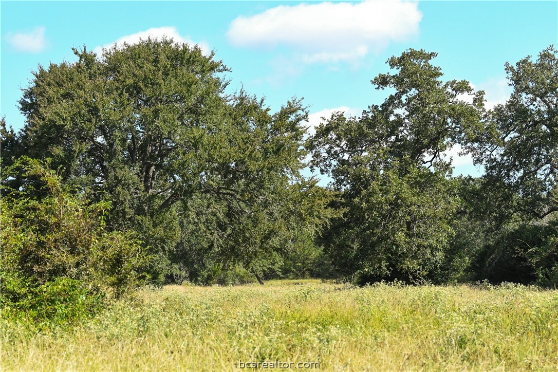 13766 Bundic Road Property Photo 4