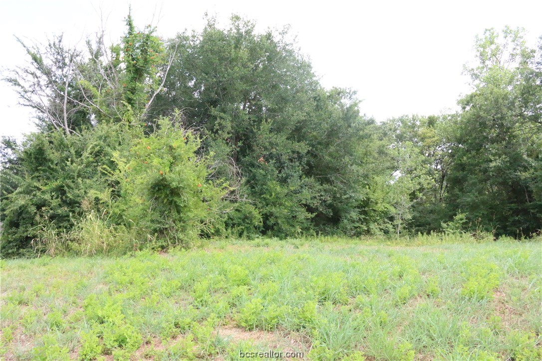 2105 Cids Lane Property Photo 6