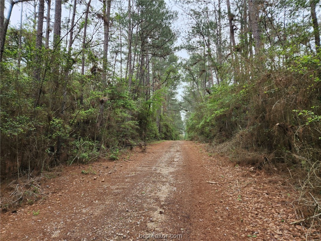 Lot 25 North Council Dr. Property Photo 1