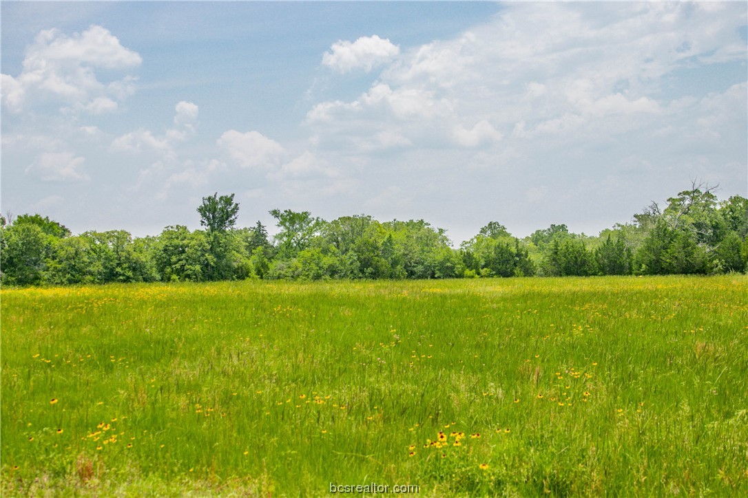 Lot 32 (5.41 Acres) Legacy Rd Property Photo 5