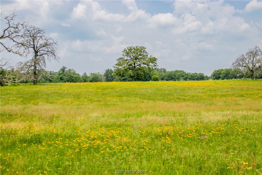 Lot 32 (5.41 Acres) Legacy Rd Property Photo 11