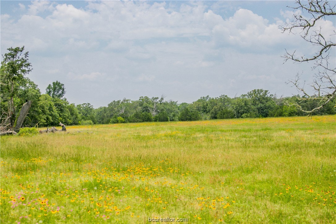 Lot 32 (5.41 Acres) Legacy Rd Property Photo 12