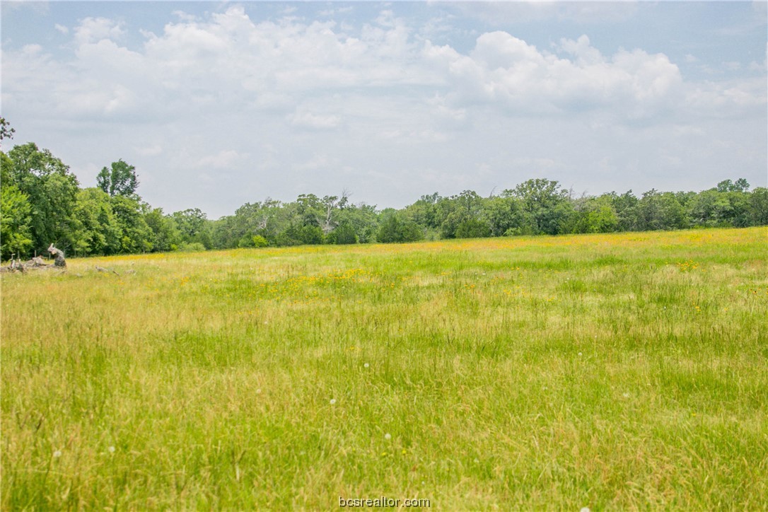 Lot 32 (5.41 Acres) Legacy Rd Property Photo 13