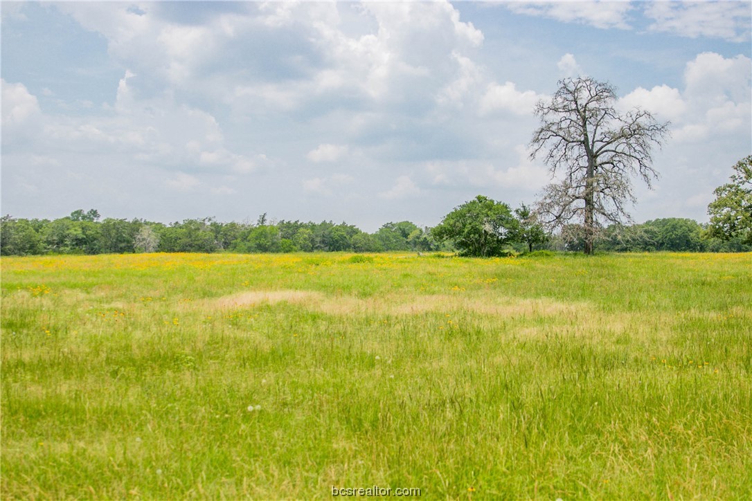 Lot 32 (5.41 Acres) Legacy Rd Property Photo 14
