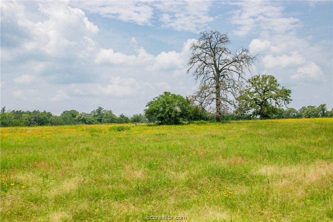 Lot 32 (5.41 Acres) Legacy Rd Property Photo 16