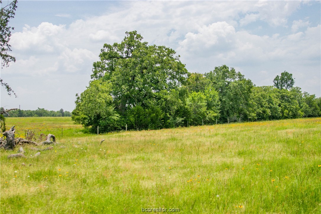 Lot 32 (5.41 Acres) Legacy Rd Property Photo 17