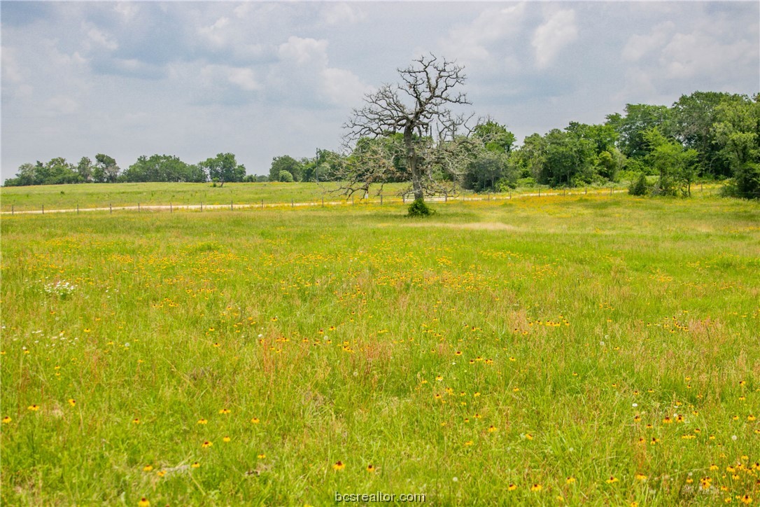 Lot 32 (5.41 Acres) Legacy Rd Property Photo 23