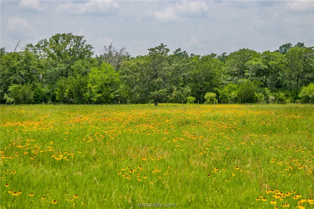Lot 32 (5.41 Acres) Legacy Rd Property Photo 25
