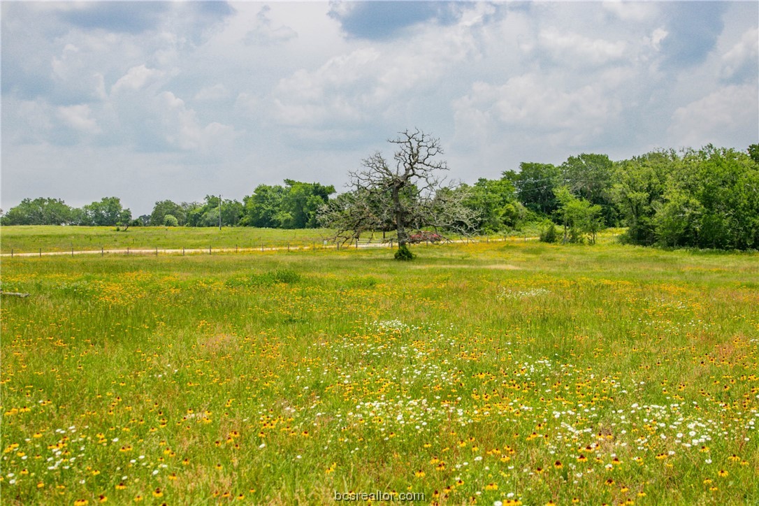 Lot 32 (5.41 Acres) Legacy Rd Property Photo 26