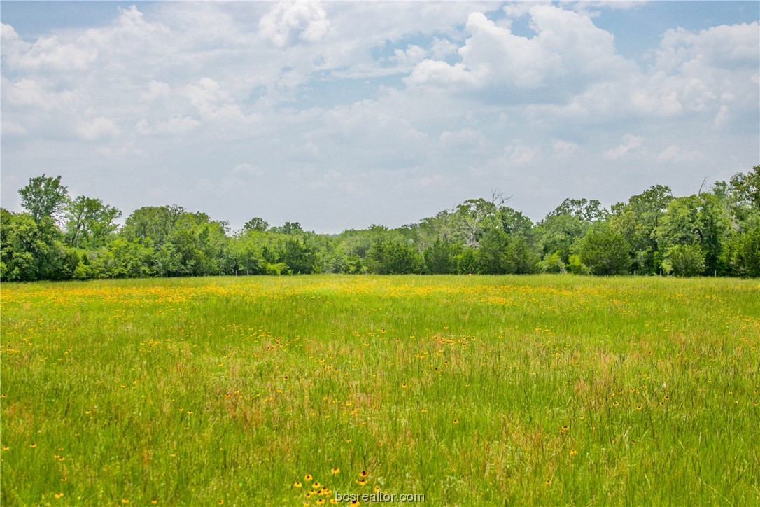 Lot 32 (5.41 Acres) Legacy Rd Property Photo 31