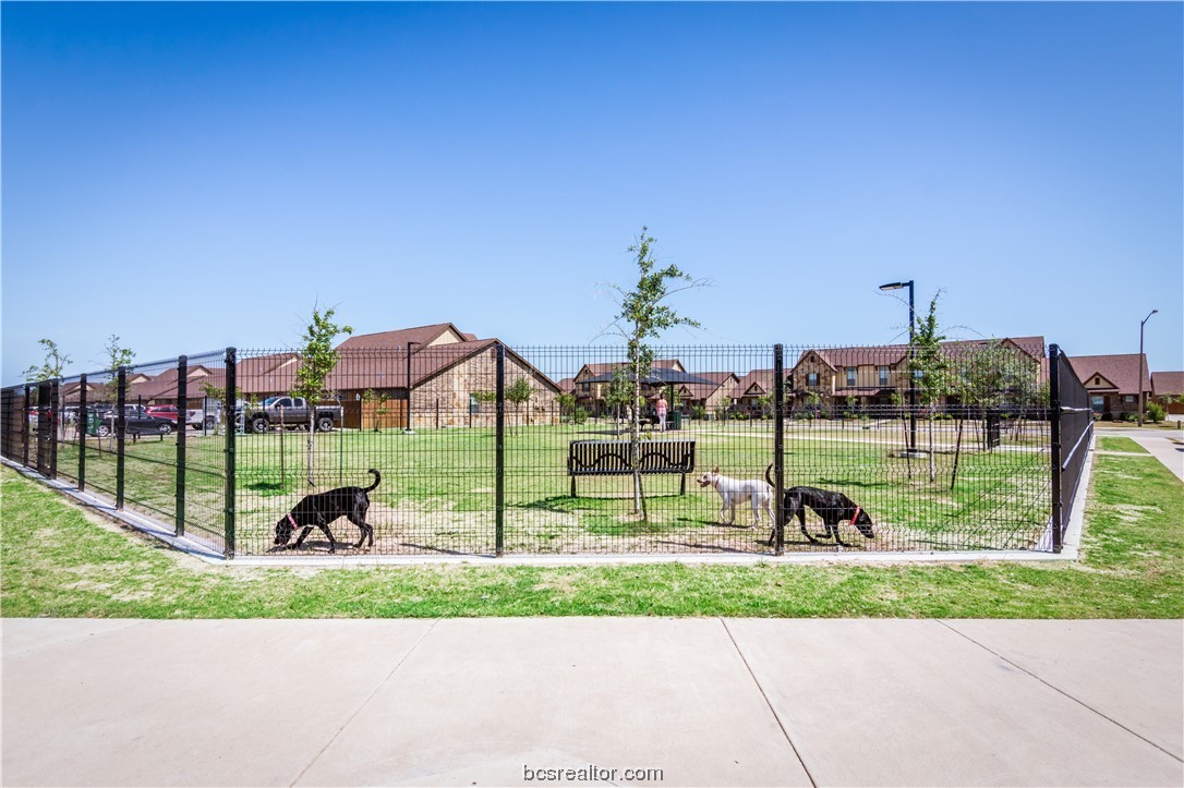 403 Baby Bear Drive Property Photo 25