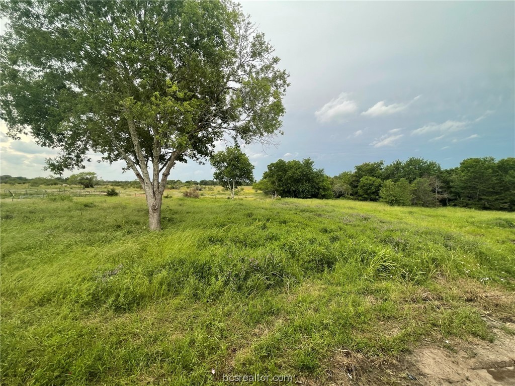 3591 Cr 130 Property Photo 23