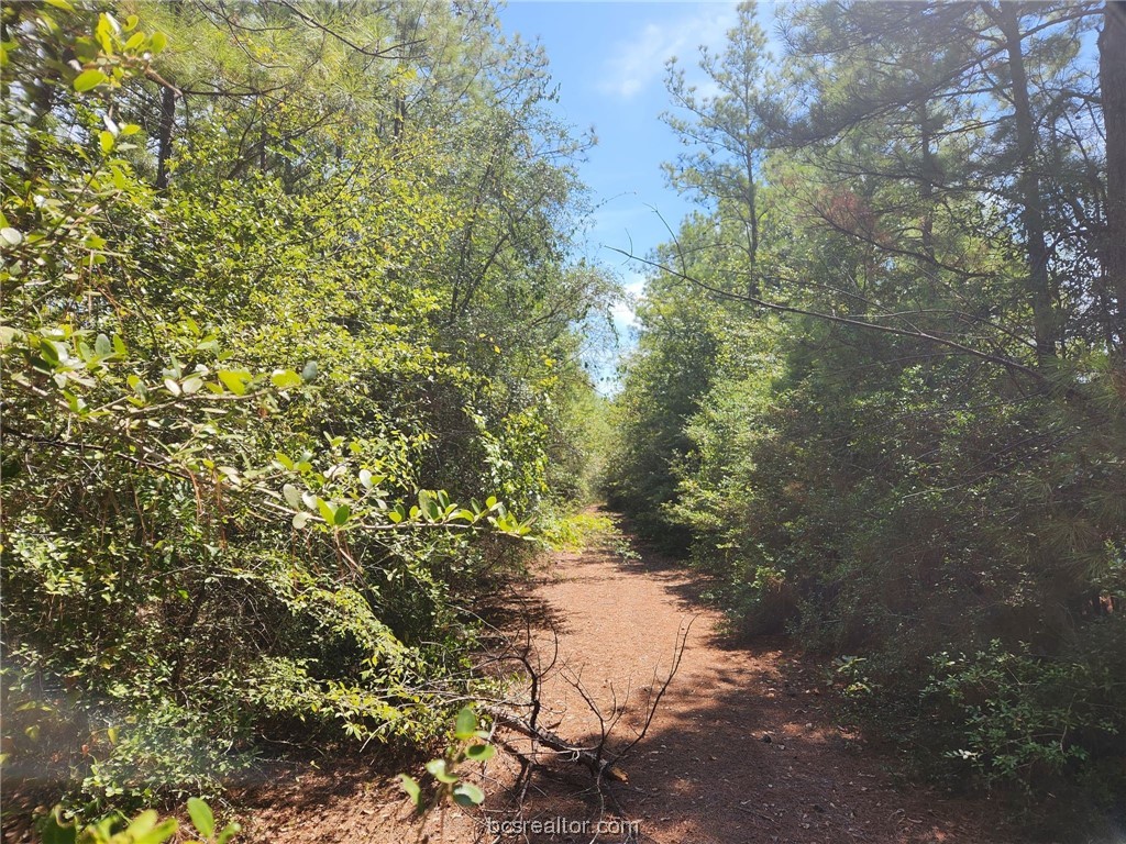 Lot 9 Hickory Branch Lane Property Photo 2