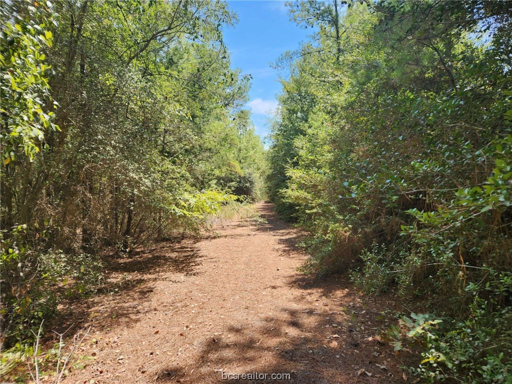 Lot 9 Hickory Branch Lane Property Photo 4