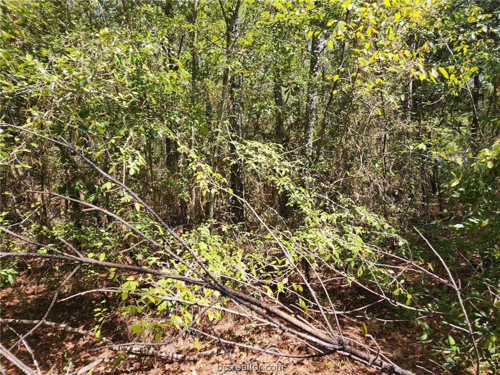 Lot 9 Hickory Branch Lane Property Photo 6