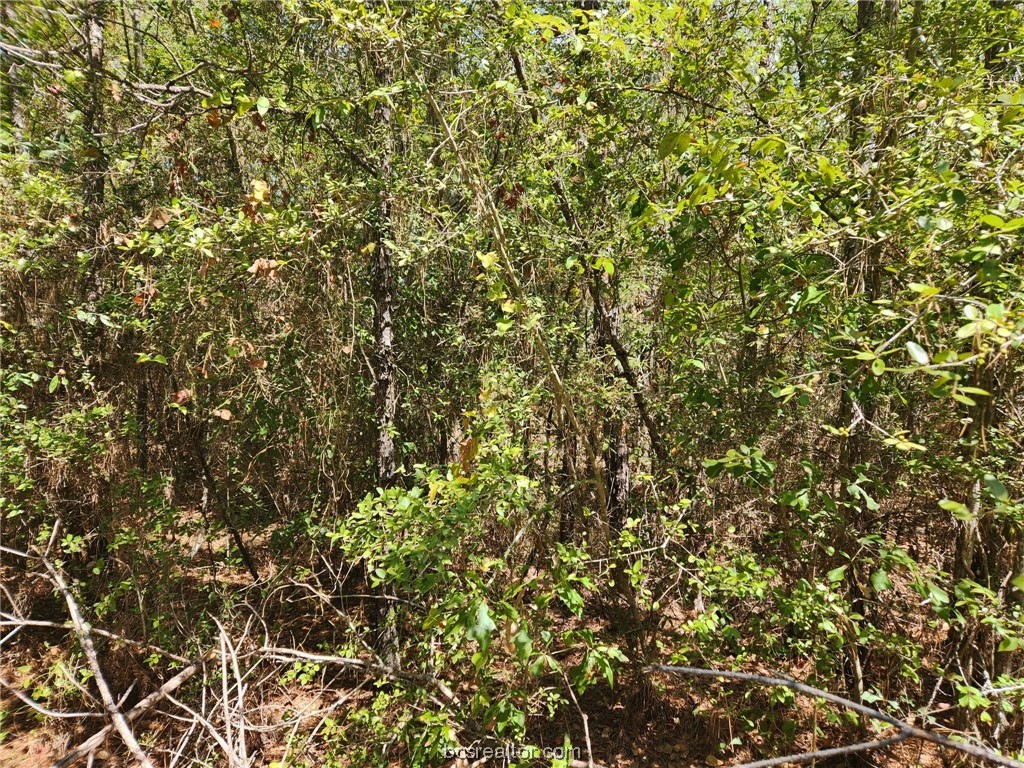 Lot 9 Hickory Branch Lane Property Photo 7