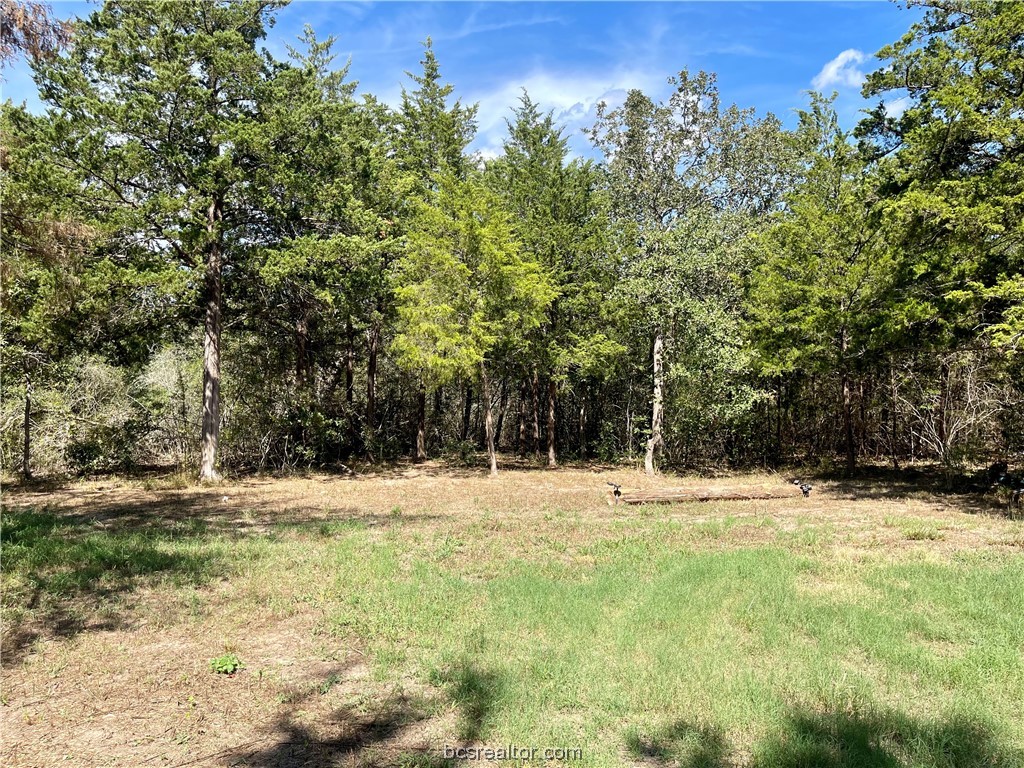 461 Blueberry Hill Road Property Photo 2