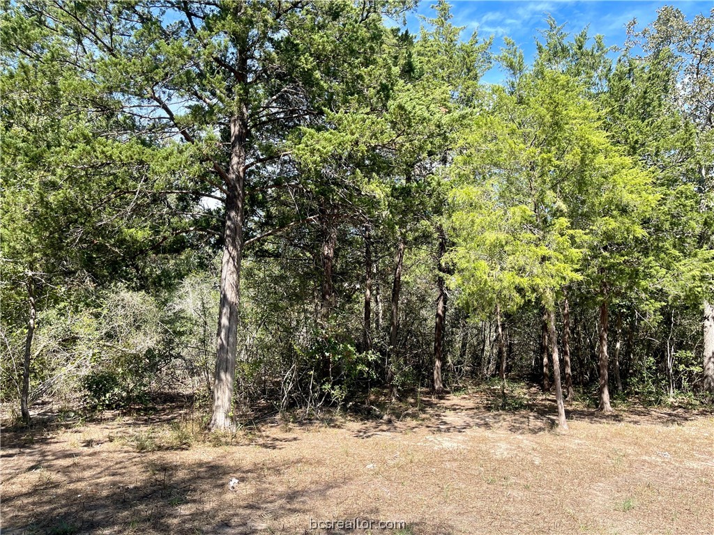 461 Blueberry Hill Road Property Photo 3
