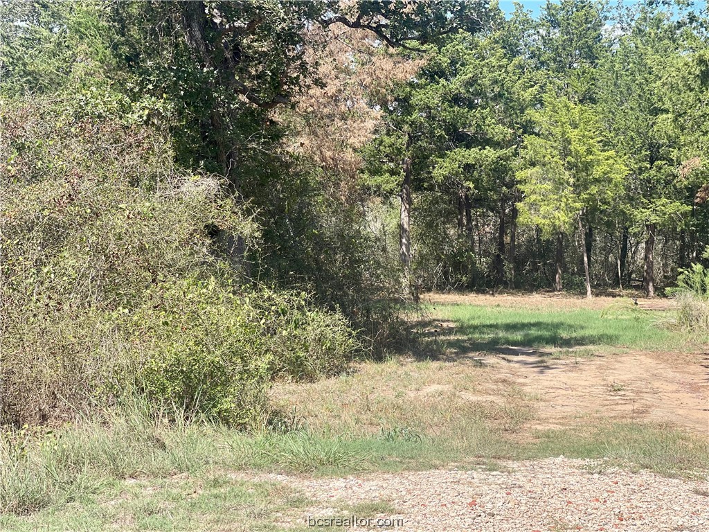 461 Blueberry Hill Road Property Photo 4