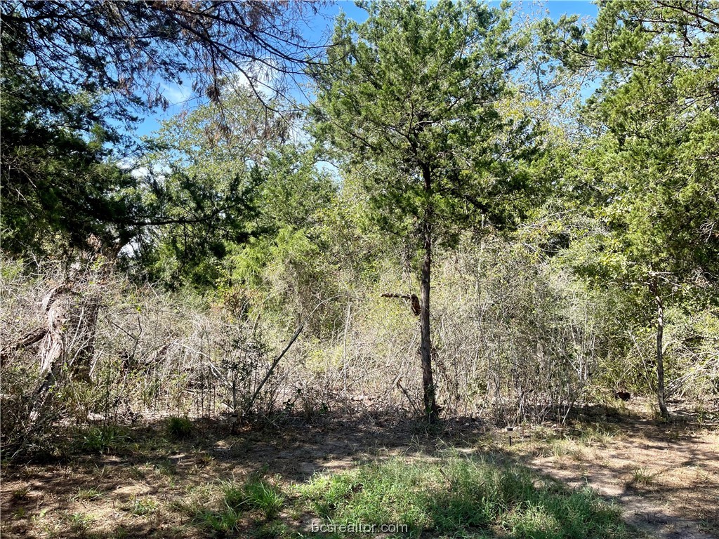 461 Blueberry Hill Road Property Photo 5