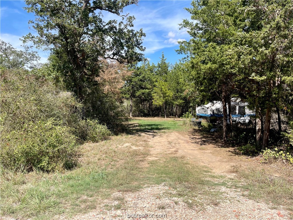 461 Blueberry Hill Road Property Photo 6
