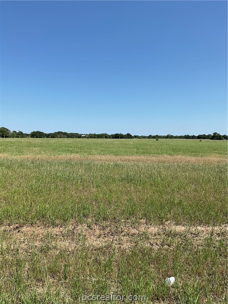 6402 Hardy Weedon Road County Road Property Photo 5