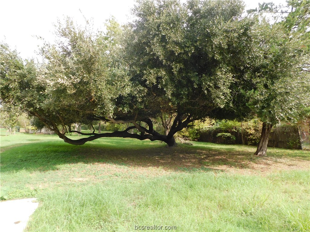 TBD Palasota Drive