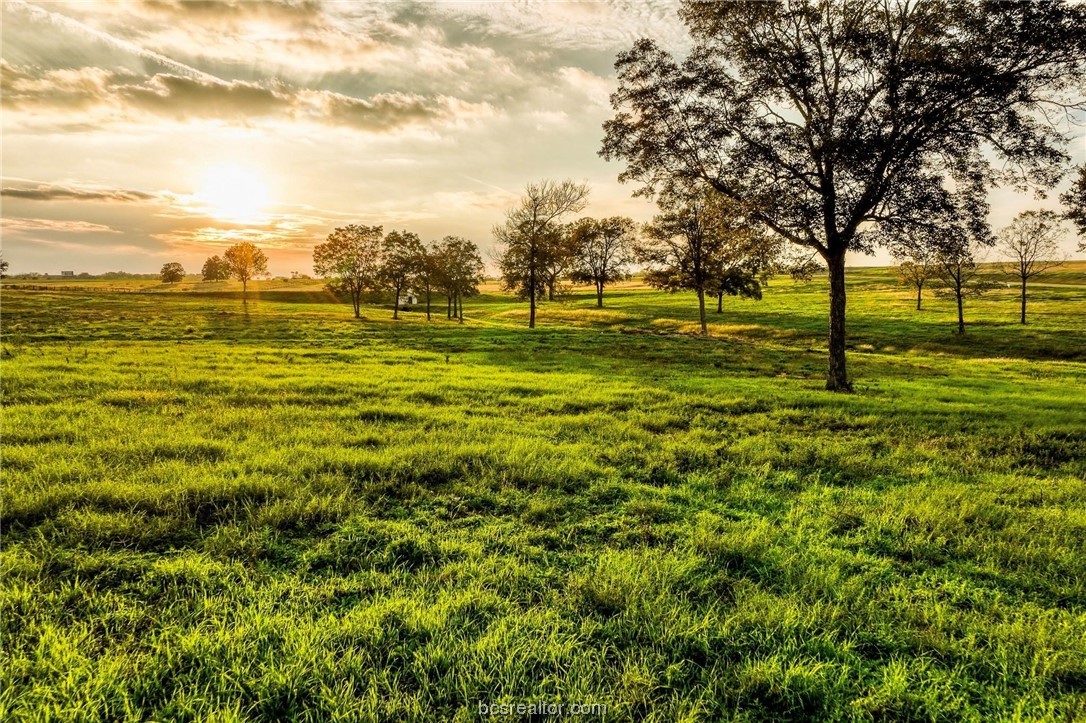 Tbd Sunny Meadow Lot 20 Drive Property Photo 1