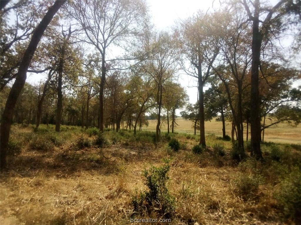 Tbd Pr 1311 Property Photo 15